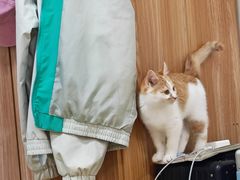 -德元·美联众合24小时动物医院(总院)