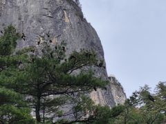 -秦岭天竺山生态文化旅游景区
