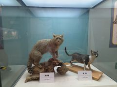 -国家自然博物馆