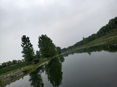 -洨河生态公园