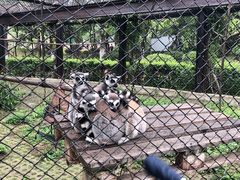 -合肥野生动物园