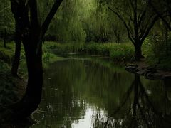 -杭州城北体育公园