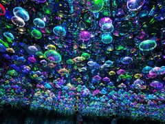 -天津梵高星空艺术馆(天河城旗舰店)