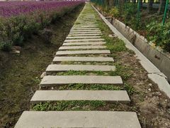 -嘉北郊野公园