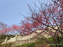 -重庆彩云湖湿地公园