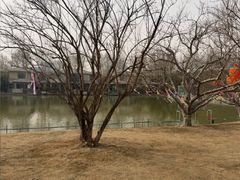 -春晖园度假酒店温泉