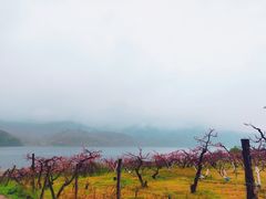 -河口景区