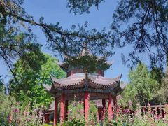 -洛阳白马寺