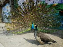 android_upload_pic-迎泽公园