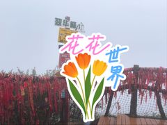 -秦岭终南山世界地质公园翠华山景区