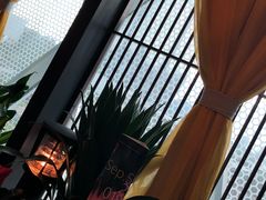 -润园四季椰子鸡火锅(海上世界店)