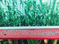 -明珠湖天鹅苑·农家菜馆