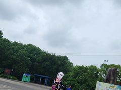 -苏州太湖国家湿地公园