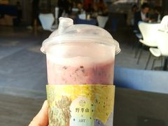 -野萃山·潮汕厚果汁(十亩地店)