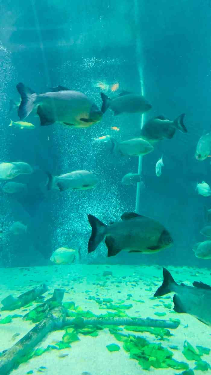 威尼斯水街(海悦天地店)-"石家庄(威尼斯水城)是集吃,喝,游玩,购.