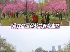 -堤角公园