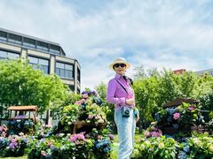 -The Rug Cafe(王府中环店)