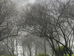-南山植物园