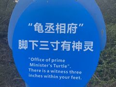 -广东惠东海龟国家级自然保护区