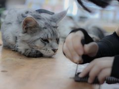 -五月木作·DIY木作文创体验店(北京路店)