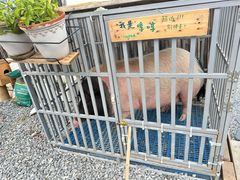 -小时光咖啡馆(开森度假森林店)