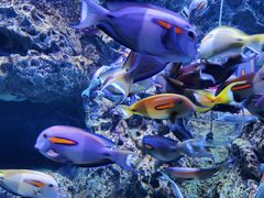 -成都浩海立方海洋公园