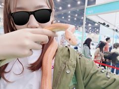 -郑州国际会展中心