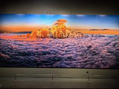 -罗红摄影艺术馆