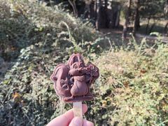 -香山公园