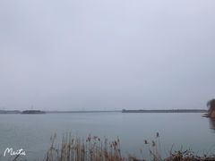 -南湖湿地公园