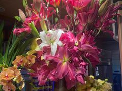 -春暖花开(西溪店)