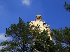 -大金鹰园
