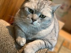-隅cafe(傅厚岗店)