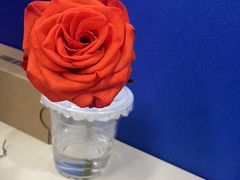 -向花仕Bloomy Life咖啡鲜花(益田假日店)