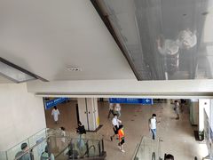-上海交通大学医学院附属瑞金医院(总院)