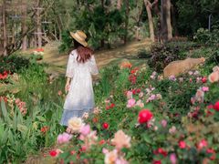 -人民公园(罗湖区)