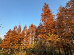 -梁鸿国家湿地公园