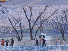 -西北湖绿化广场