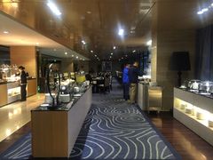 -碧桂园空港凤凰酒店(广州新白云机场店)