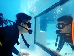 -上海潜殿潜水中心