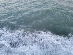 -枸杞岛