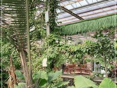-呀路古热带植物园