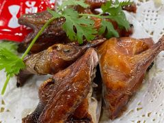 石岐乳鸽-红日饭店(裕隆三路店)