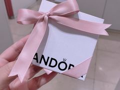 -Pandora潘多拉珠宝(武商广场店)