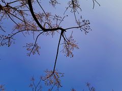 -九里河湿地公园