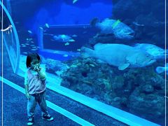 -成都浩海立方海洋公园