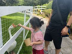 -宁波九龙湖开元度假村