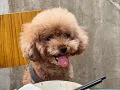 -陈记锅巴菜(五大道店)