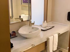 -麗枫酒店(深圳坪山高铁站龙东地铁站店)