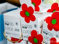 -奔驰利星行(北京花乡店)